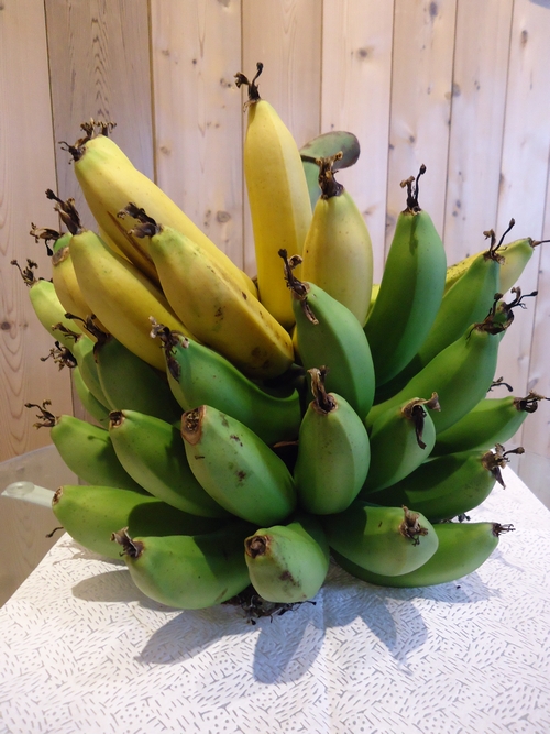 banana-016.JPG