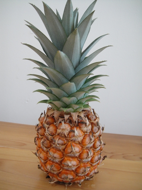 pineapple-002.JPG
